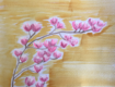 Magnolias For Mags